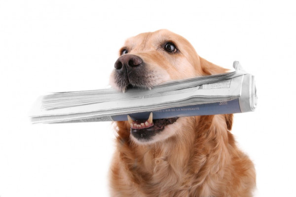 Инвестиции в экономику Вологодской области увеличились за год на 37%