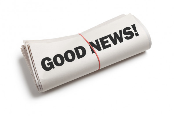 Армия ослов, месть румын, шакал с Банковой и похороны USAID: утренний кофе с EADaily