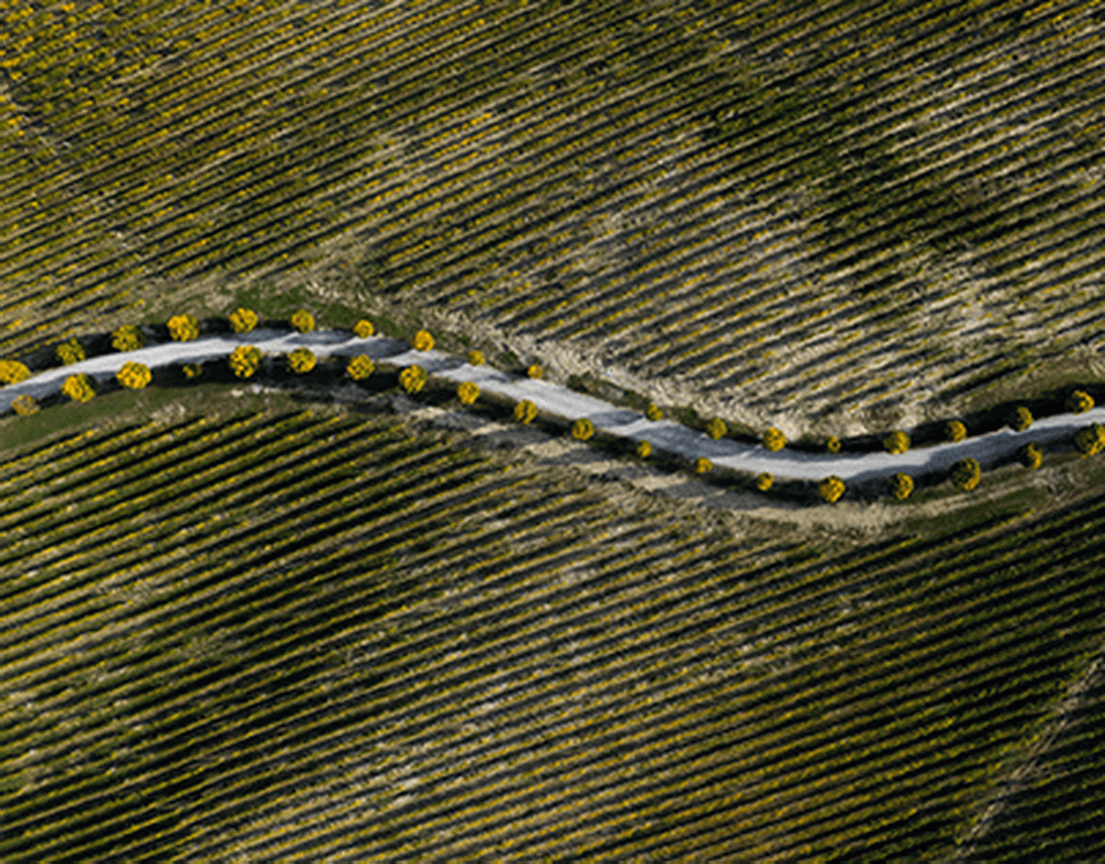 СМИ сообщили о крупных тратах США на борьбу с мигрантами и наркотрафиком