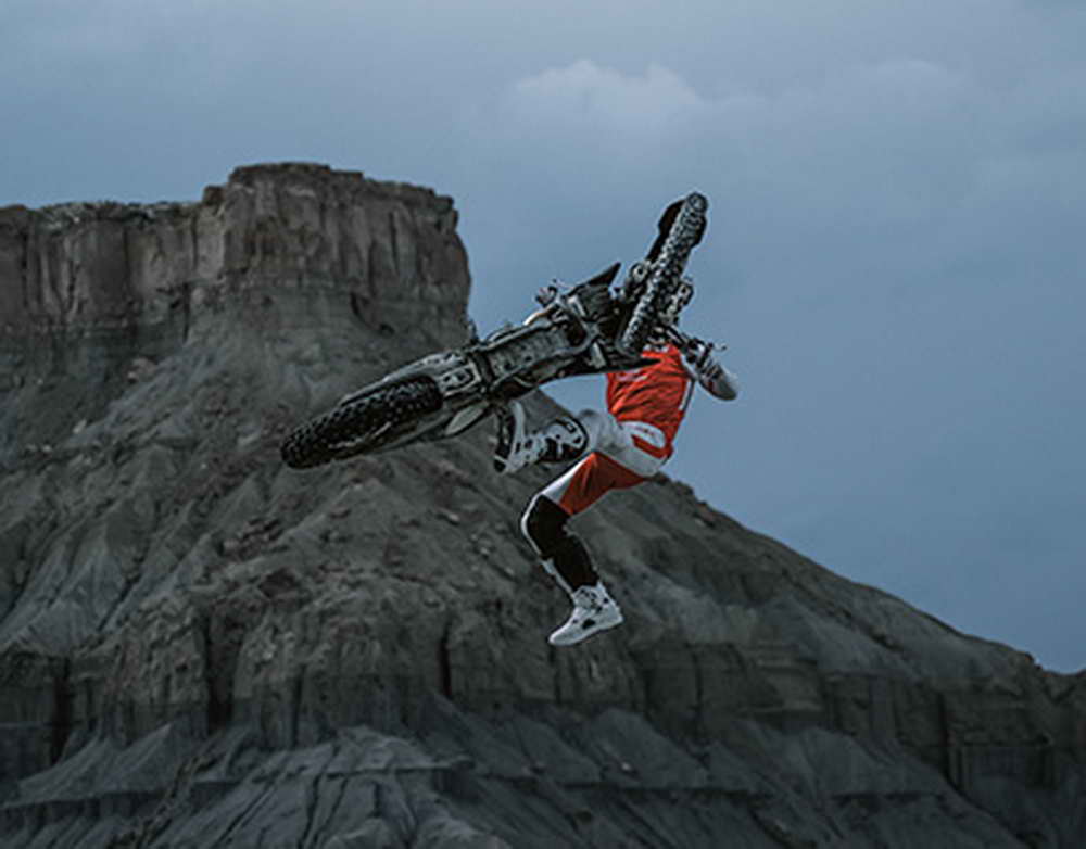 Проект об умерщвлении животных в приютах противоречит конституции  Клишас