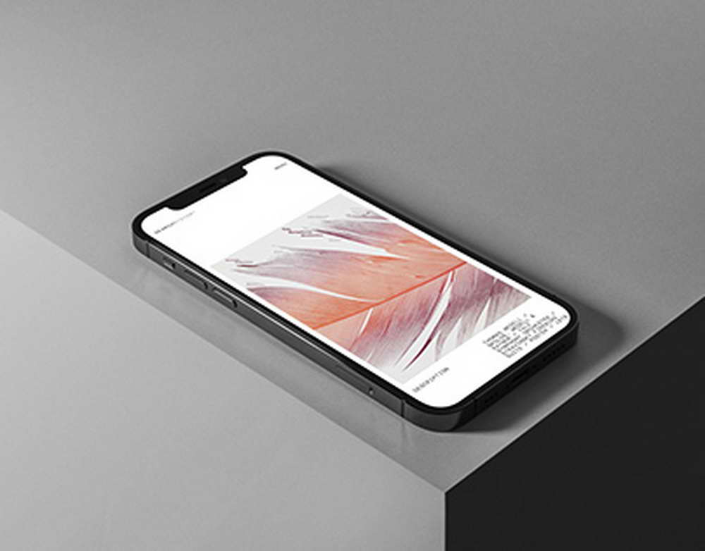 Merlion вернул в свой дистрибьюторский портфель ключи ESD