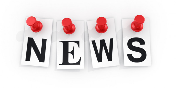 Как избежать конфликтов интересов в общественных советах обсудили в Пскове